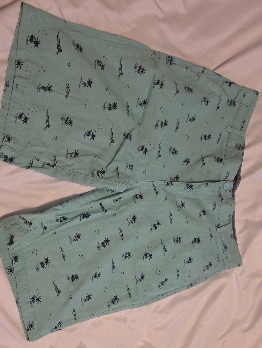 Mint Green Palm Tree Casual Shorts Mens Size 36